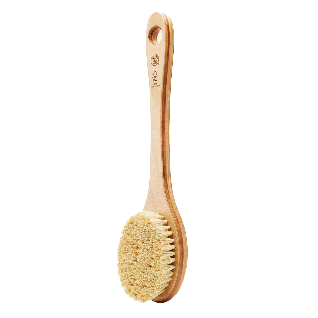 Cactus Long Handle Brush