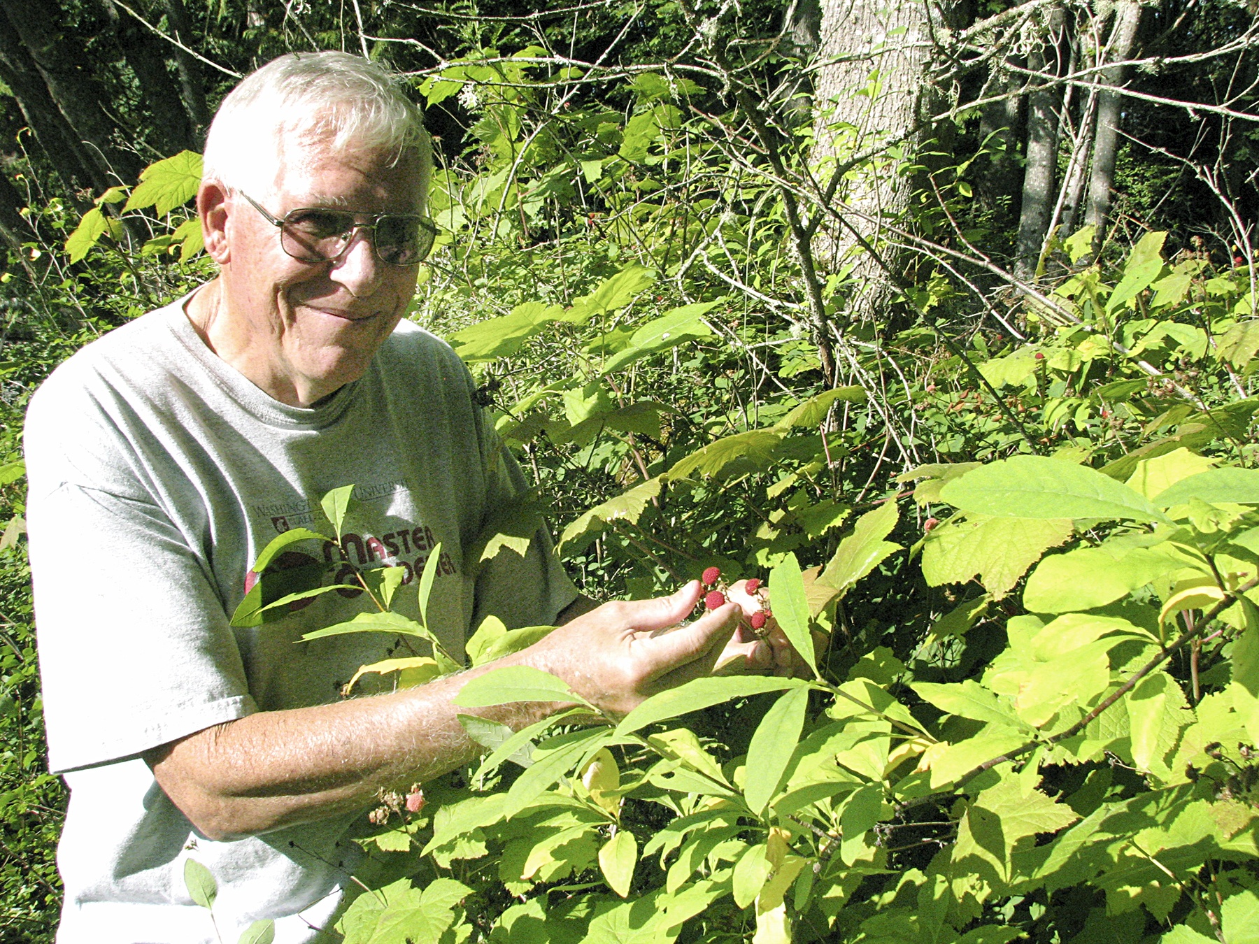 Master Gardeners plan presentation on wild berries Thursday in PortAngeles
