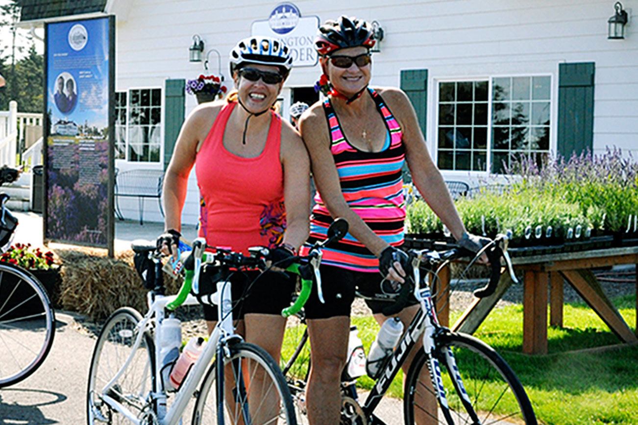 Tour de Lavender a bike ride in the country