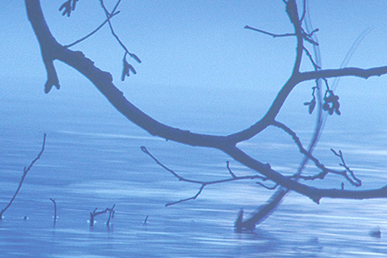 Boldly go … celebrate 50 years of Star Trek with Sequim Art Walk