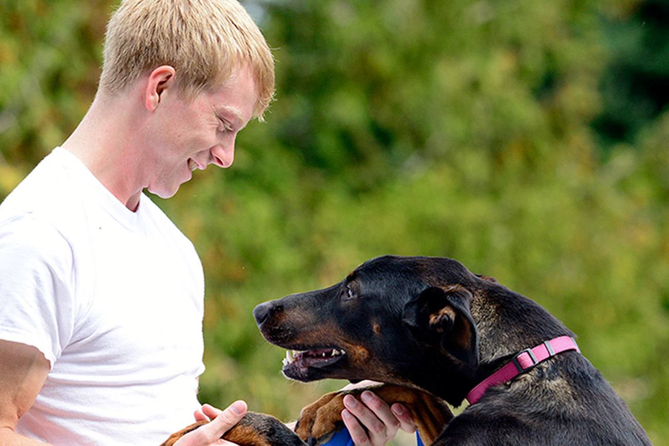 Olympic Peninsula Humane Society issues call for help after saving abandoned dog