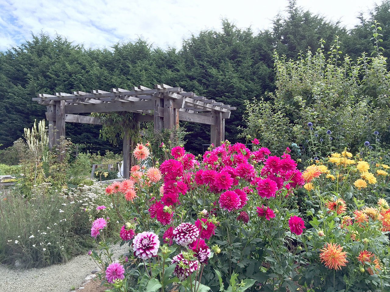 The WSU Clallam County Master Gardeners invite the community to the group’s demonstration garden for a festival Saturday. (Clallam County Master Gardeners)