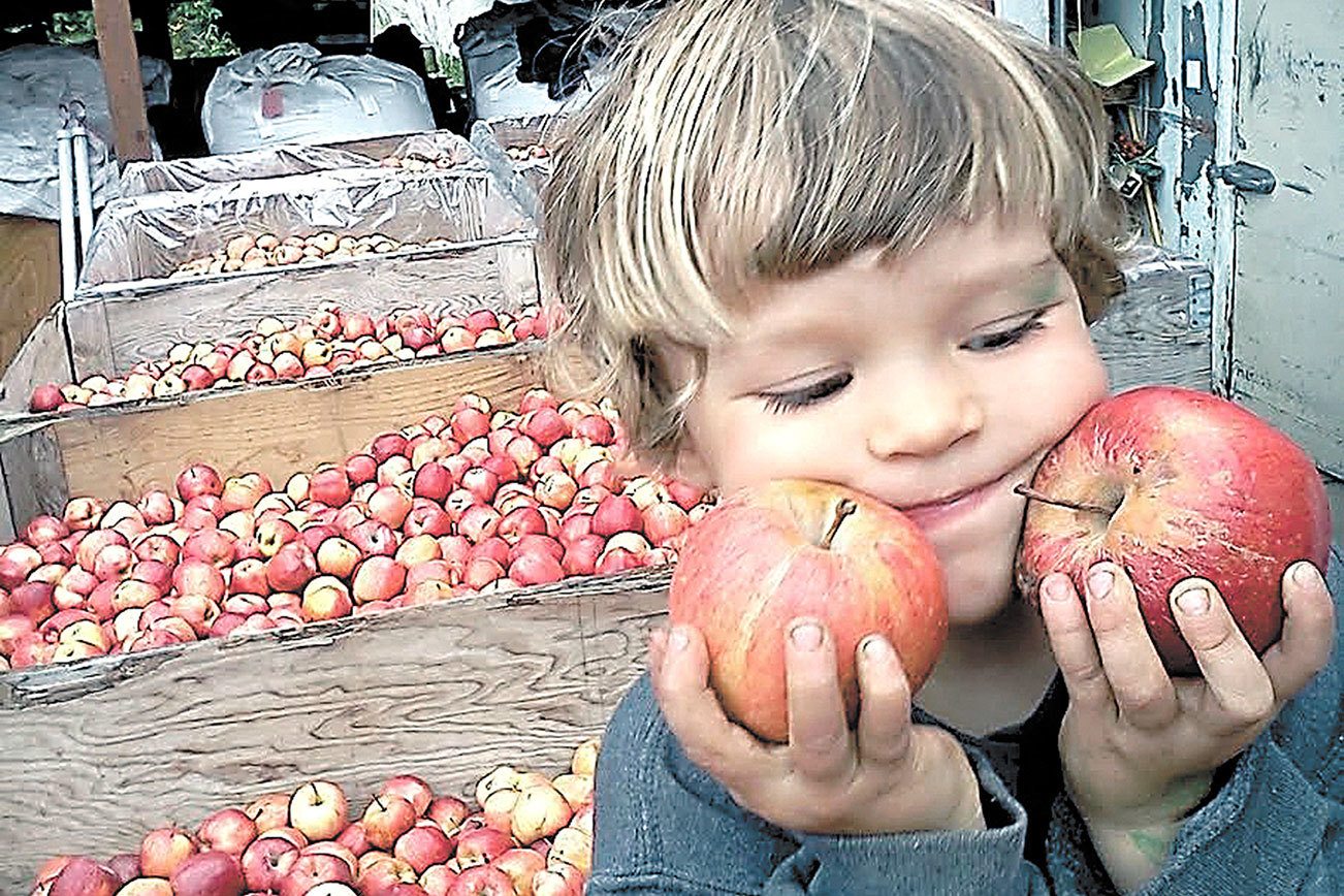 Finnriver to celebrate World Apple Day in Chimacum