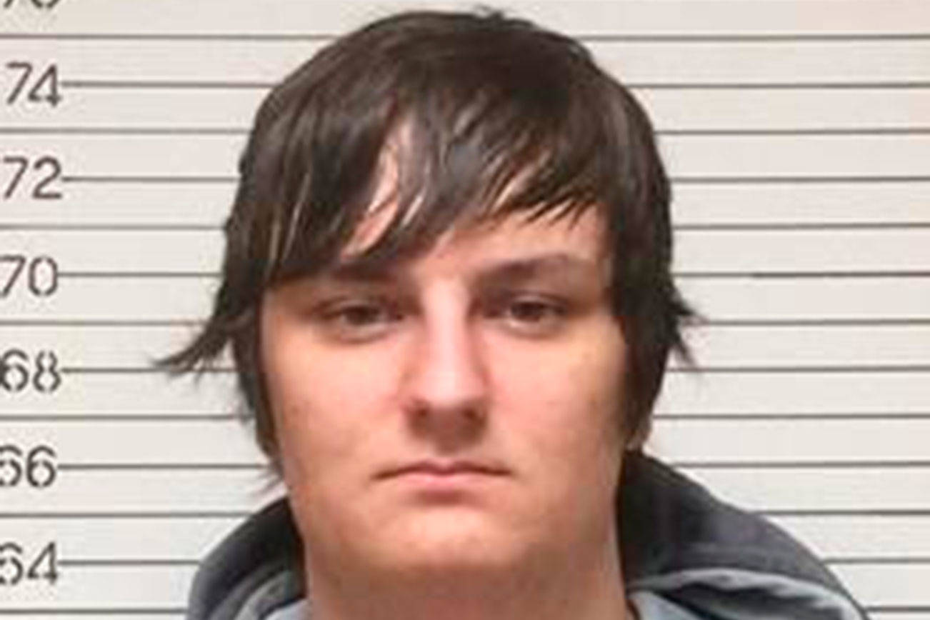 Port Angeles police led on chase by two brothers; one in custody