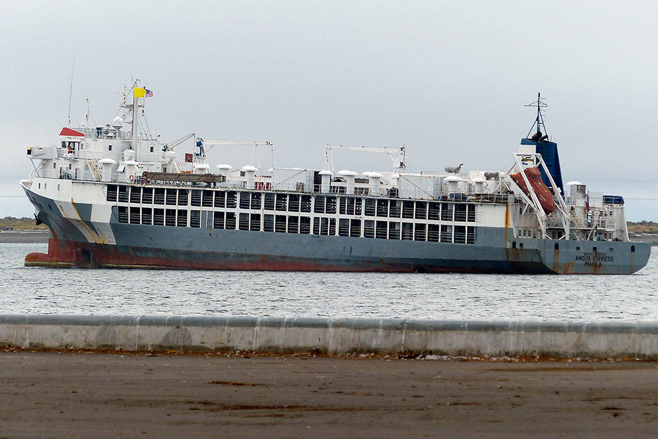 ON THE WATERFRONT: Livestock carrier slips anchor into Port Angeles