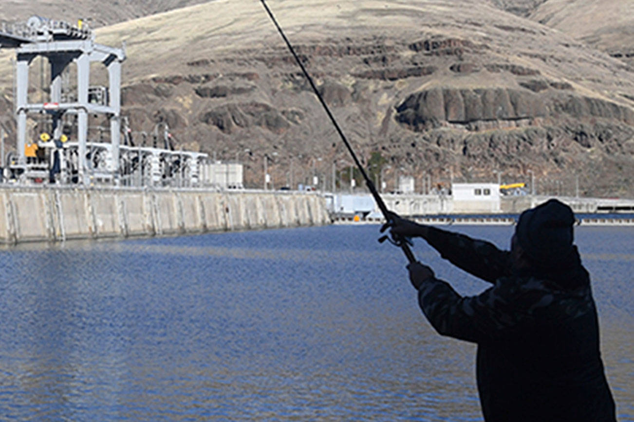 Trump administration urged to void salmon protection rules
