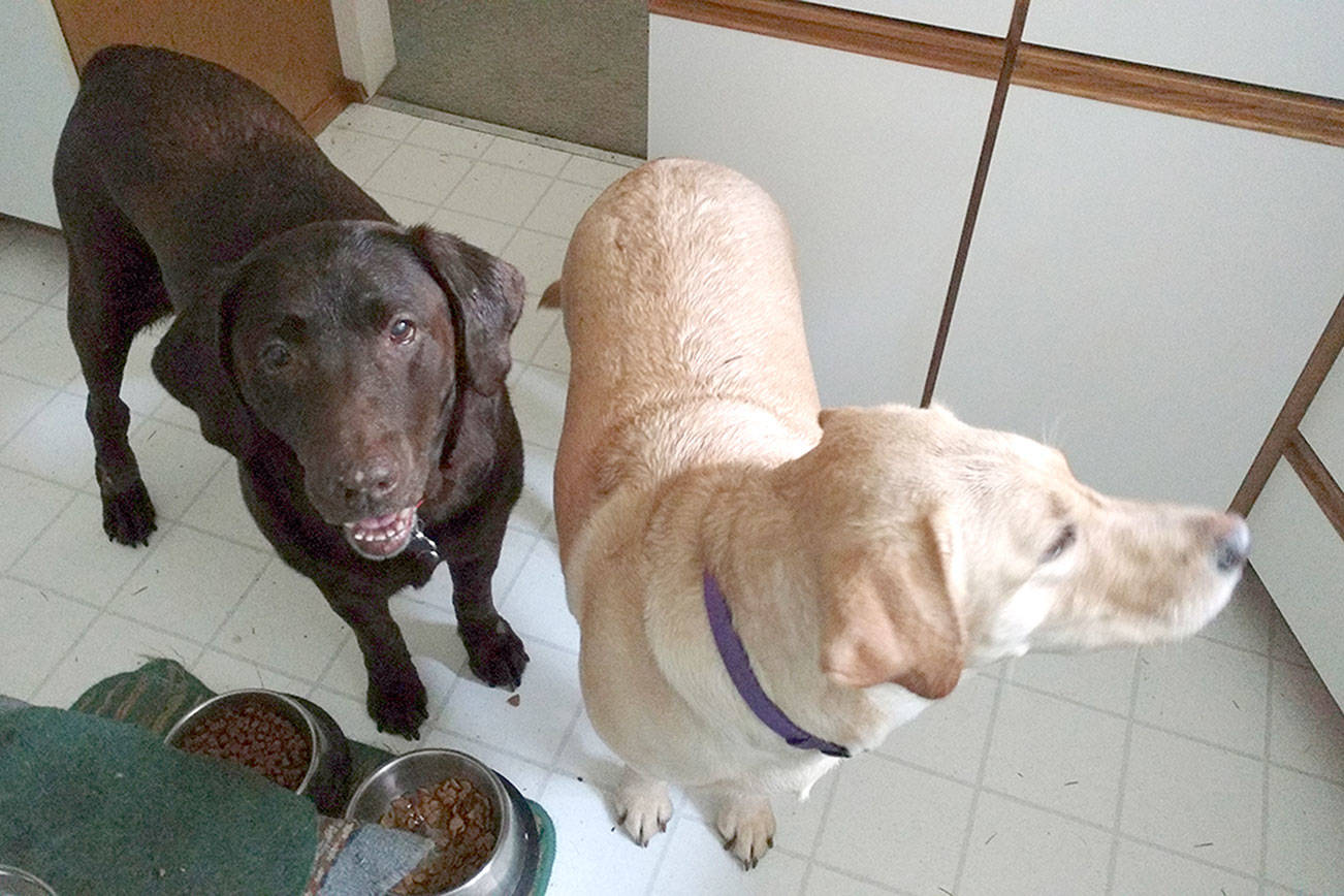 WEST END NEIGHBOR: Caring for precious family members