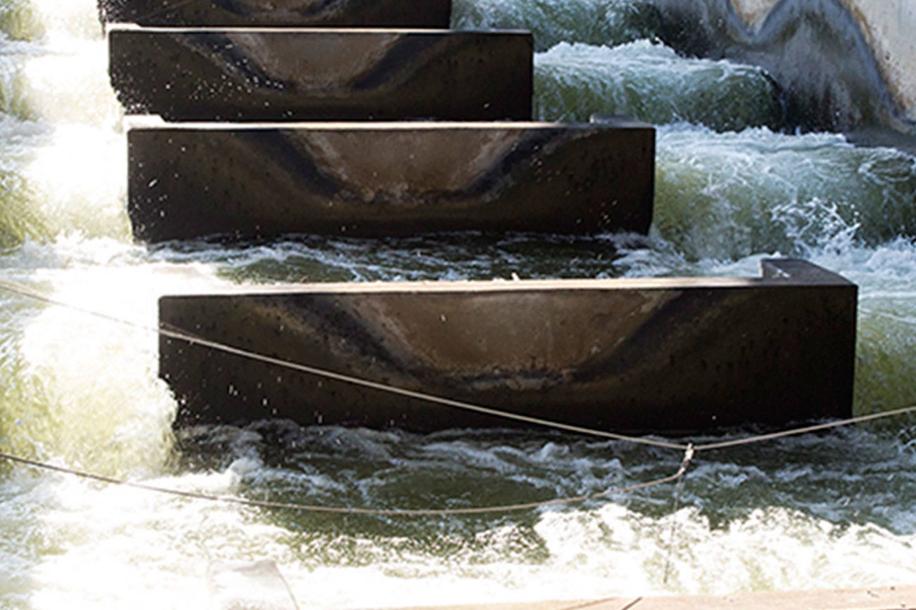 Governor opposes House bill on Snake River dams