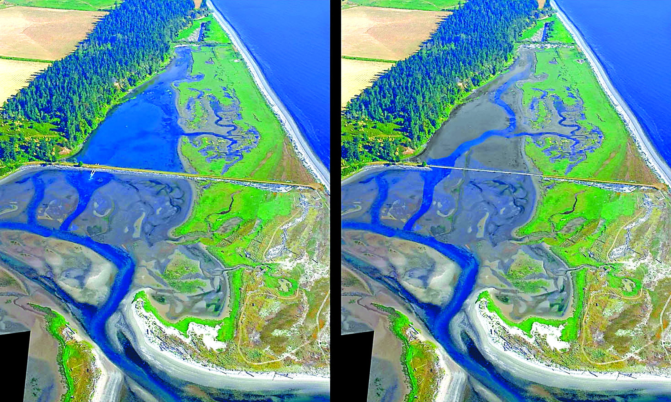 An artist’s rendering