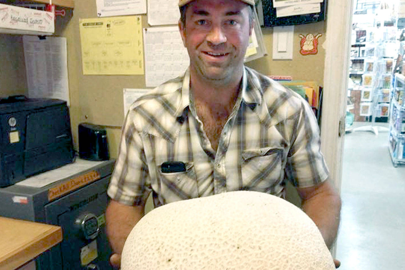 Chimacum man finds huge mushroom in his field