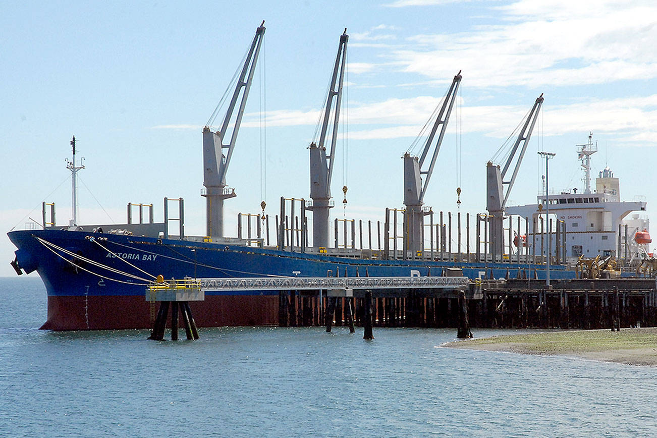 ON THE WATERFRONT: Rogue wave survivor renamed, loading logs destined for China