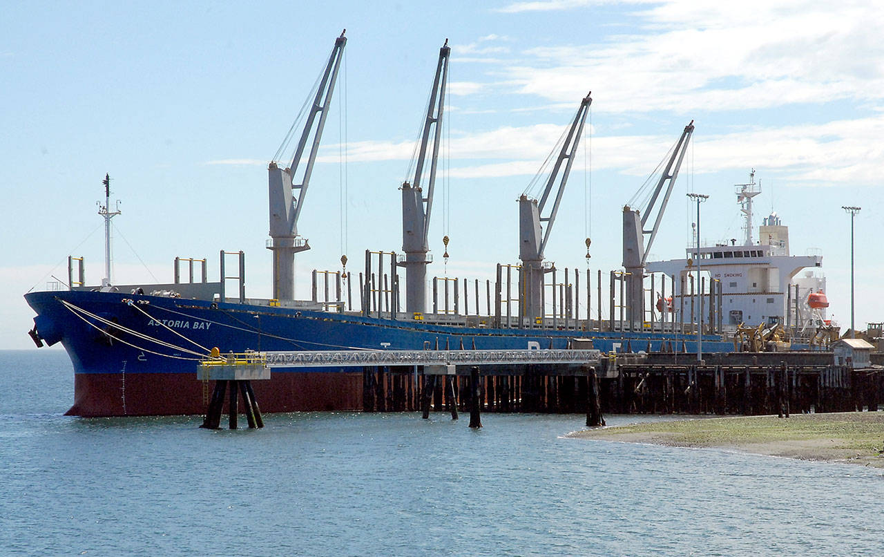 The bulk carrier Astoria Bay sits at the Port of Port Angeles Terminal 3 on Saturday to take on debarked logs destined for China. (Keith Thorpe/Peninsula Daily News)