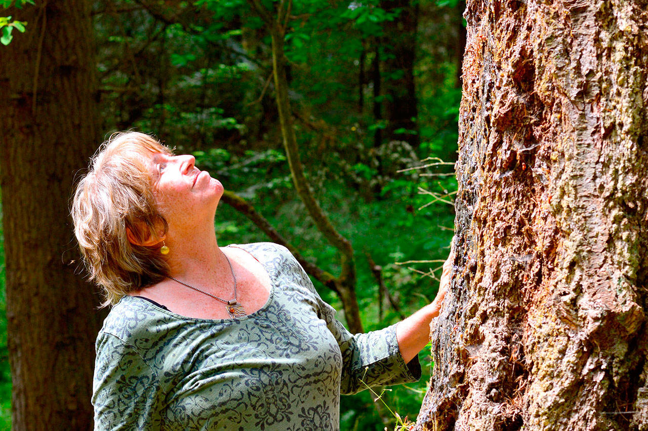 Meditation teacher Ellen Falconer will lead three free Sunday forest-bathing walks at Fort Worden. (Diane Urbani de la Paz/for Peninsula Daily News)