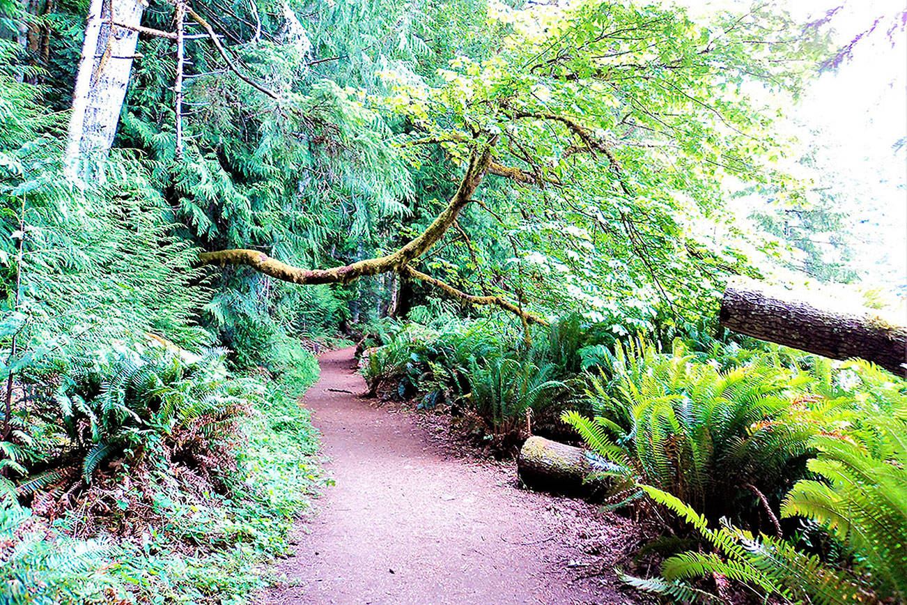 OUTDOORS: Crescent trail hike offers serenity