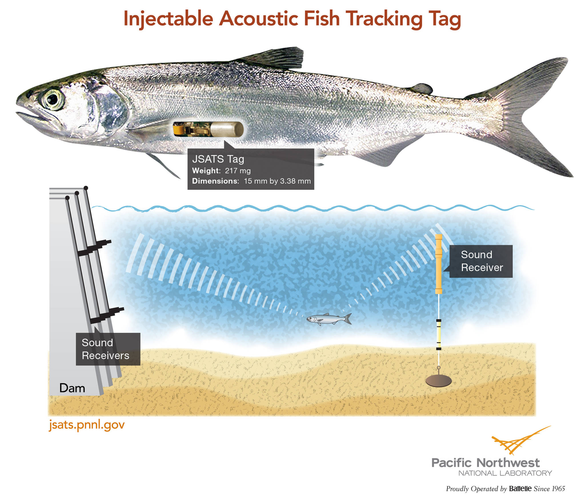 Photo courtesy of PNNL Scientists in Sequim’s Marine Sciences Laboratory with Pacific Northwest National Laboratory plan to monitor fish with an injectable acoustic fish tracking tag around a tidal turbine (similarly to a dam pictured) to see how they react to the machinery with the aim to better protect them.