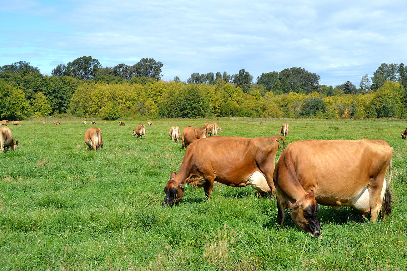 Creamery samples show no E. coli after state investigation