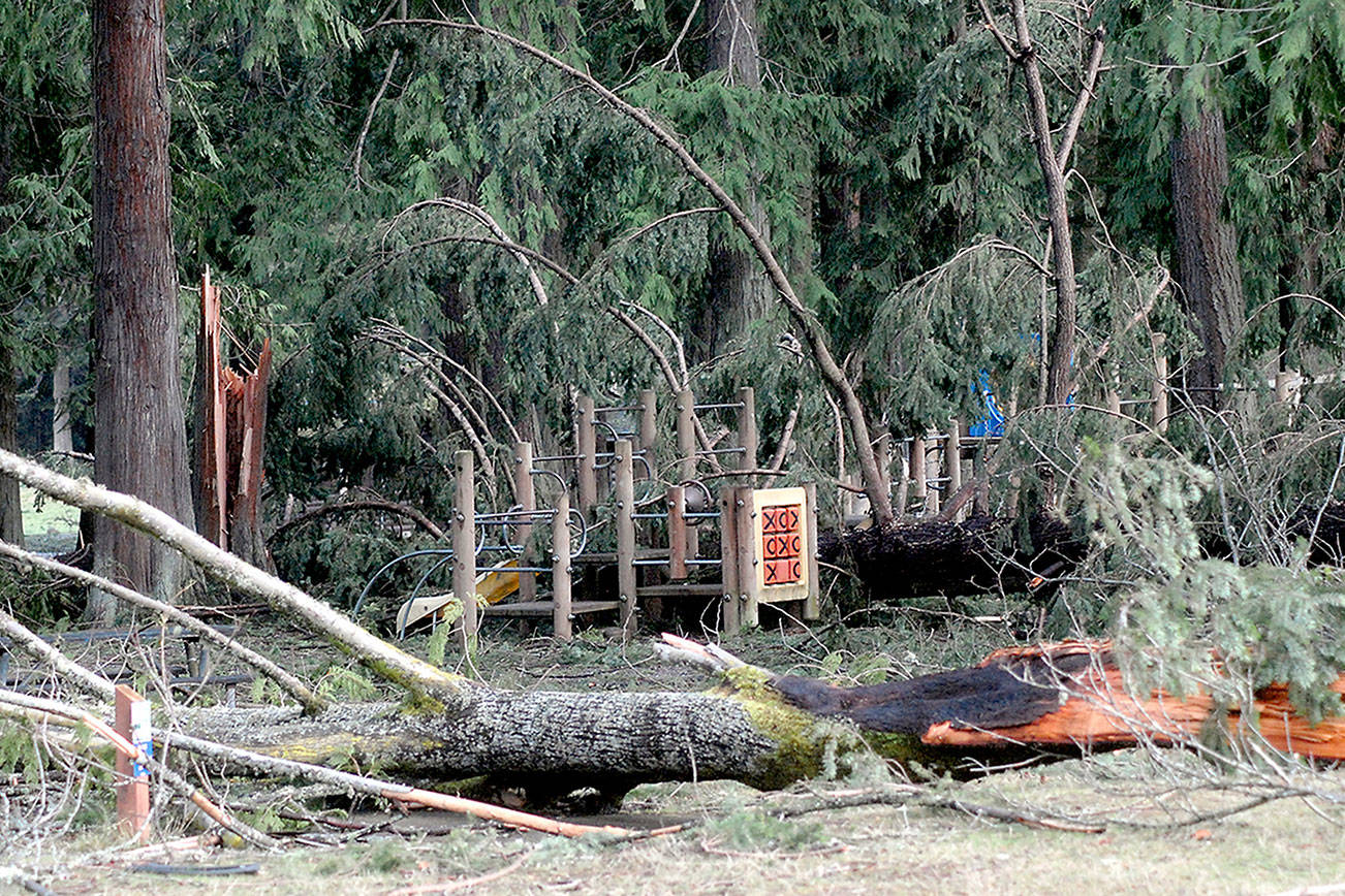 Debris continues to litter Port Angeles’ Lincoln Park after windstorm