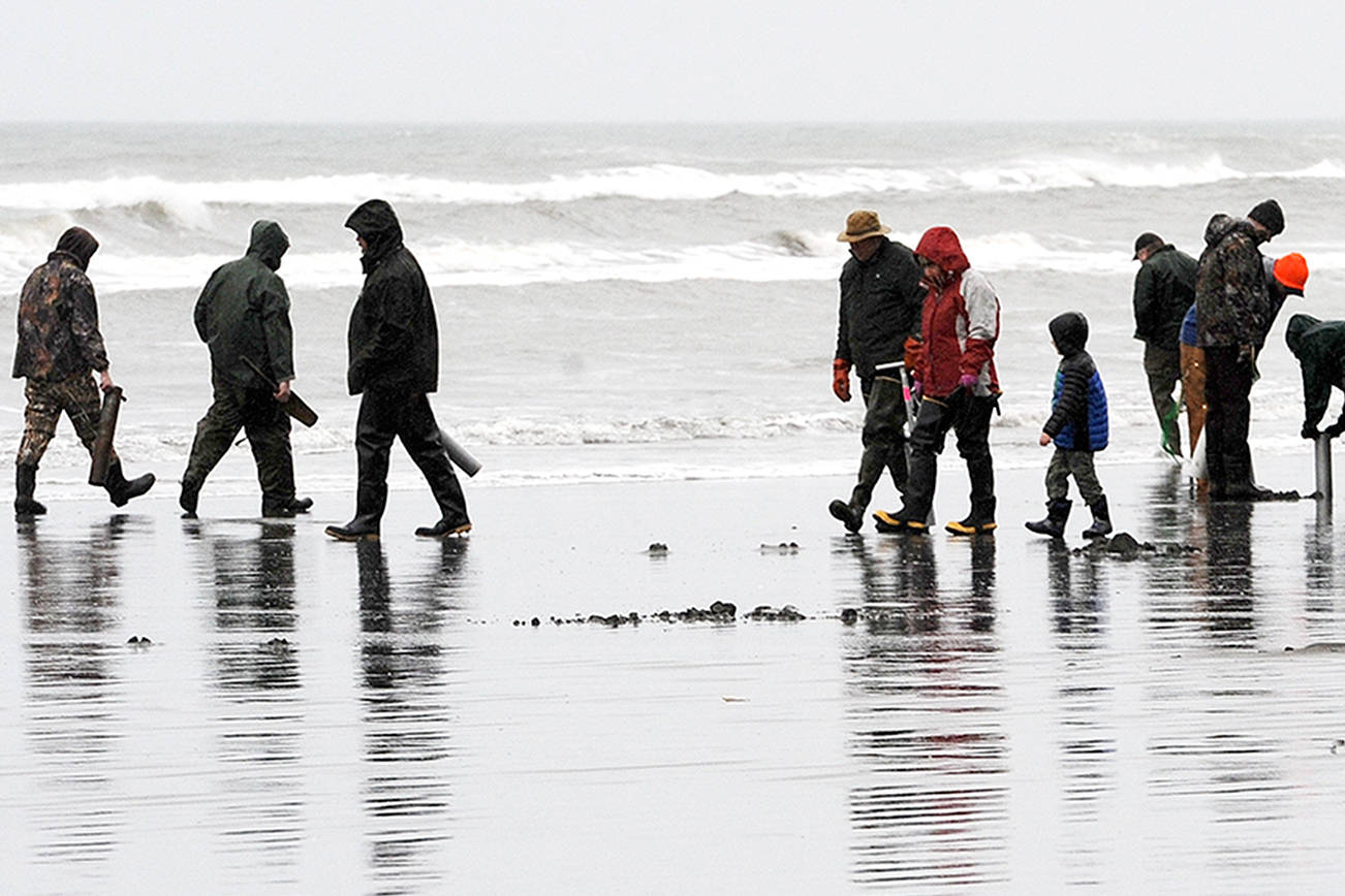 OUTDOORS: Government shutdown puts kibosh on Kalaloch razor clam digs