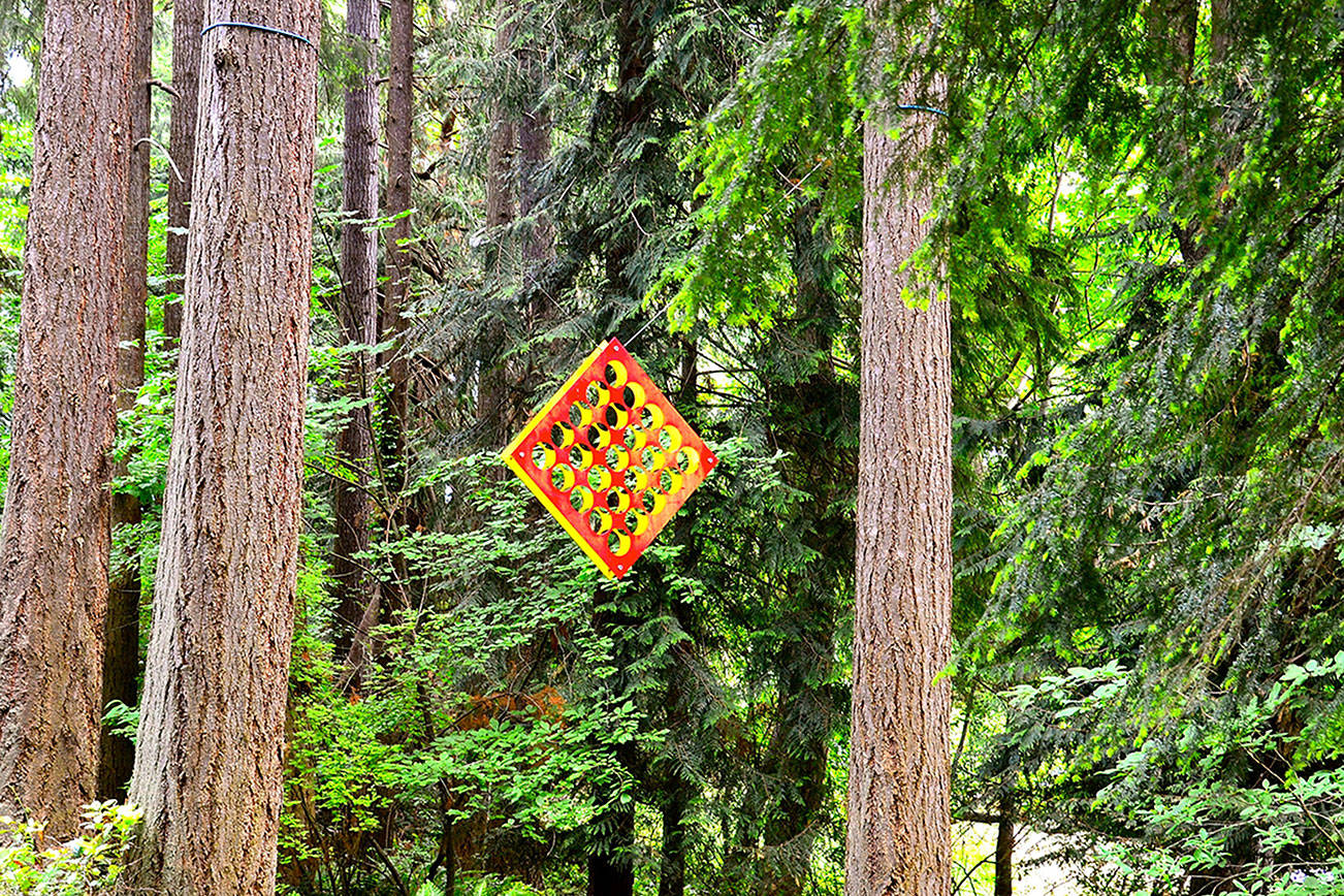 DIANE URBANI DE LA PAZ: A fresh variety of reporting