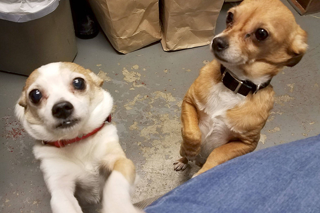 WEST END NEIGHBOR: ‘A people problem’ on the West End