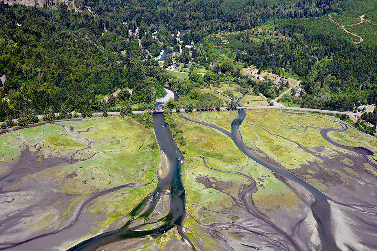 Public meeting set to discuss Duckabush River estuary restoration