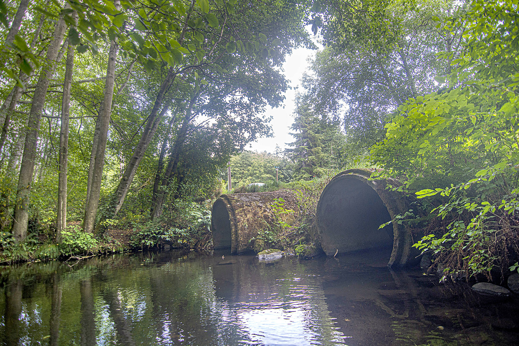 Clallam County files appeal of state decision concerning Phase II stormwater permit