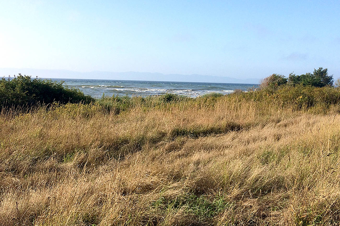 OUTDOORS: Lyre River Conservation Area offers Strait-side solitude