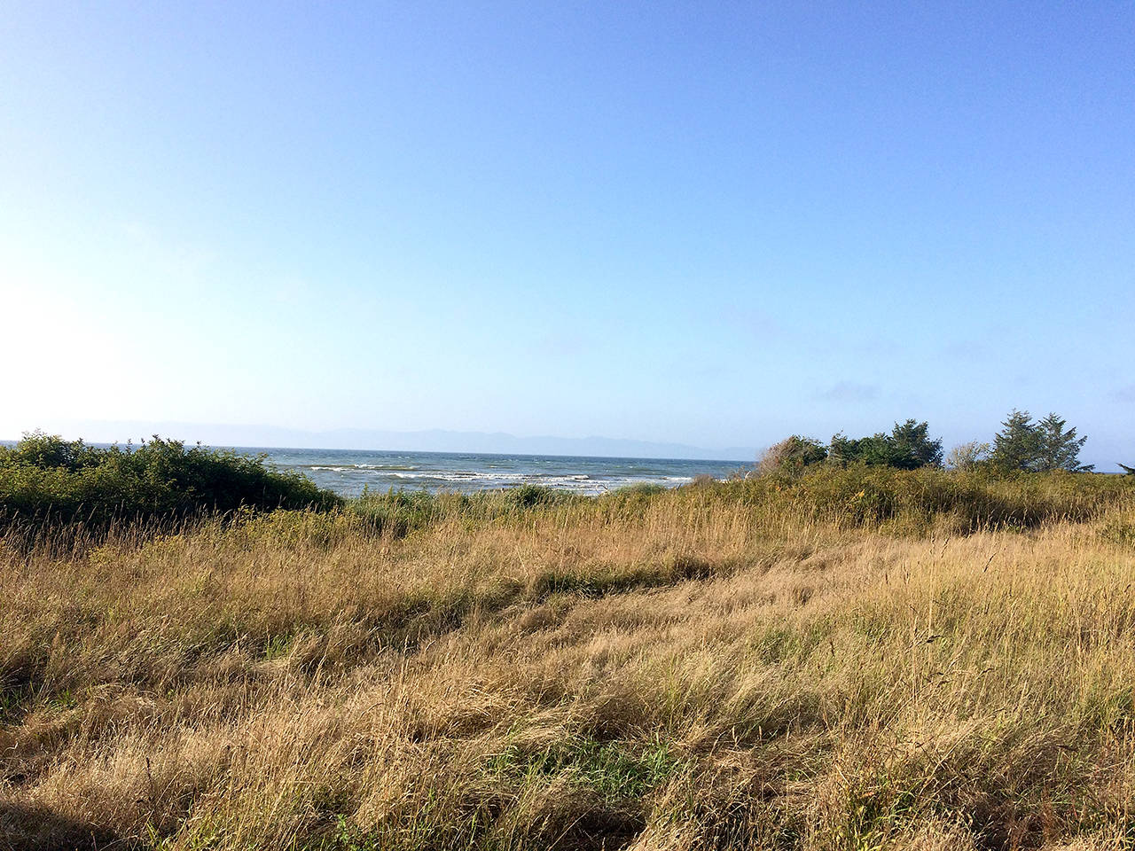 Michael Carman/Peninsula Daily News Strait of Juan de Fuca views are stunning near the beach at the Lyre River Conservation Area west of Joyce.