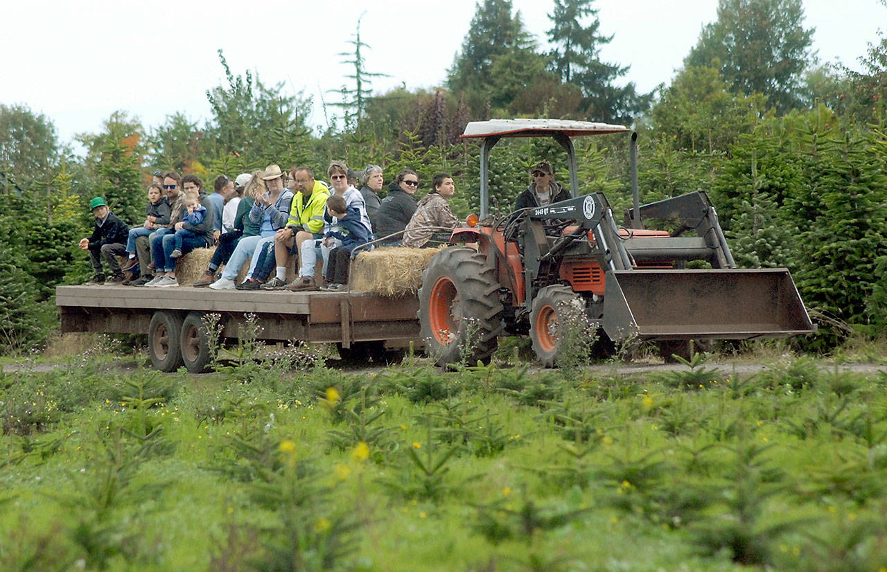 A tractor takes people on a hayride through Lazy J Tree Farm east of Port Angeles in 2018 as part of the annual Clallam County Farm Tour. (Keith Thorpe/Peninsula Daily News)