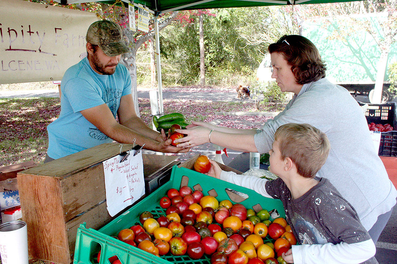 Fall greens wrap up Port Townsend’s Wednesday Farmers Market