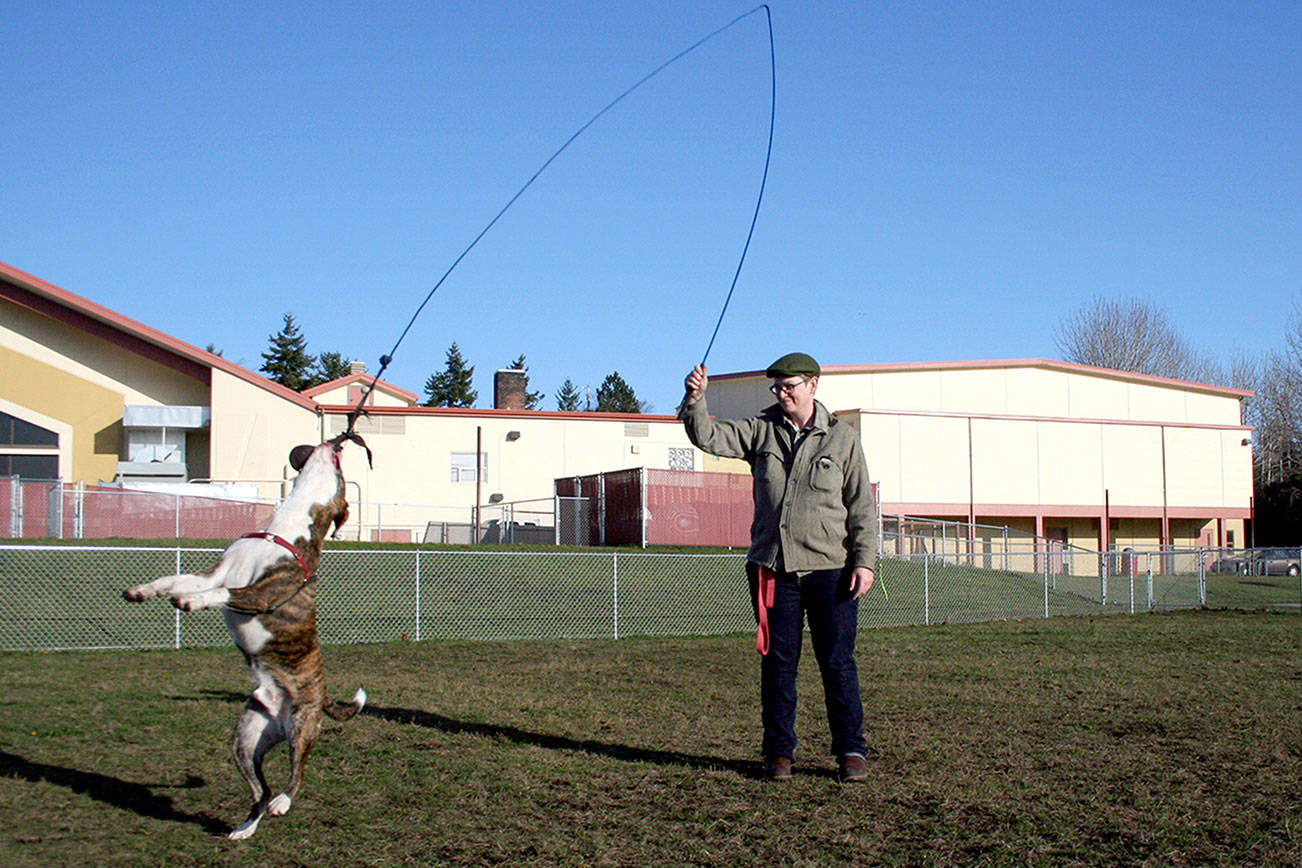 Port Townsend parks plan reels in survey results