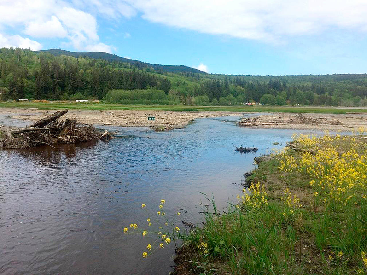 Public comment is sought on the potential purchase of a six-acre parcel of land at the Discovery Bay estuary, adjacent to the Discovery Bay Unit of the North Olympic Wildlife Area in Jefferson County. (State Department of Fish and Wildlife)