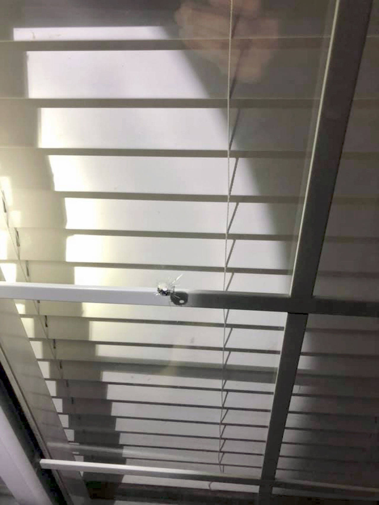 The Jefferson County Sheriff’s Office recently contacted three people who admitted to shooting a BB gun with targets being houses or vehicles. Four separate incidents are being investigated as malicious mischief. (Jefferson County Sheriff’s Office)