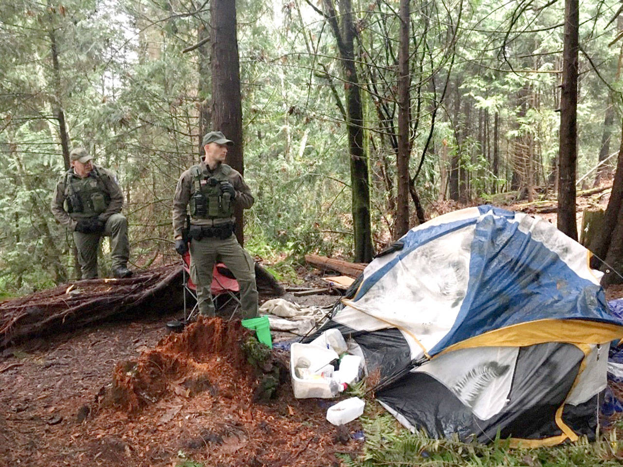 State Department of Fish and Wildlife officers Bryan Davidson and Morgan Cooney are shown during a sweep of the 133-acre Morse Creek Unit east of Port Angeles on Jan. 29. Clallam County chain gang crews helped Fish and Wildlife officers clean up 4,920 pounds of trash from the illegal homeless encampment Jan. 30 and Jan. 31. (Washington Department of Fish and Wildlife)