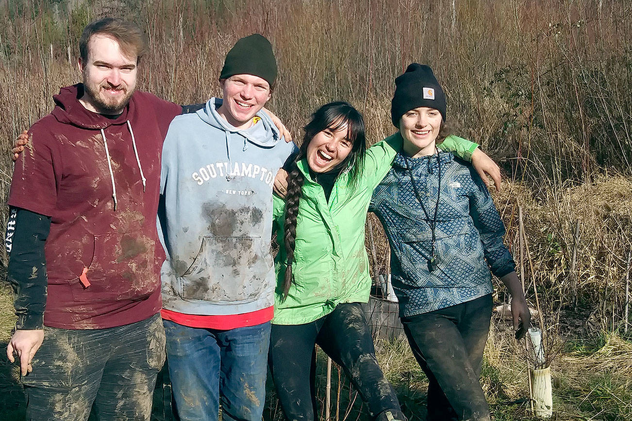 Teens lead Tarboo Valley tree-planting
