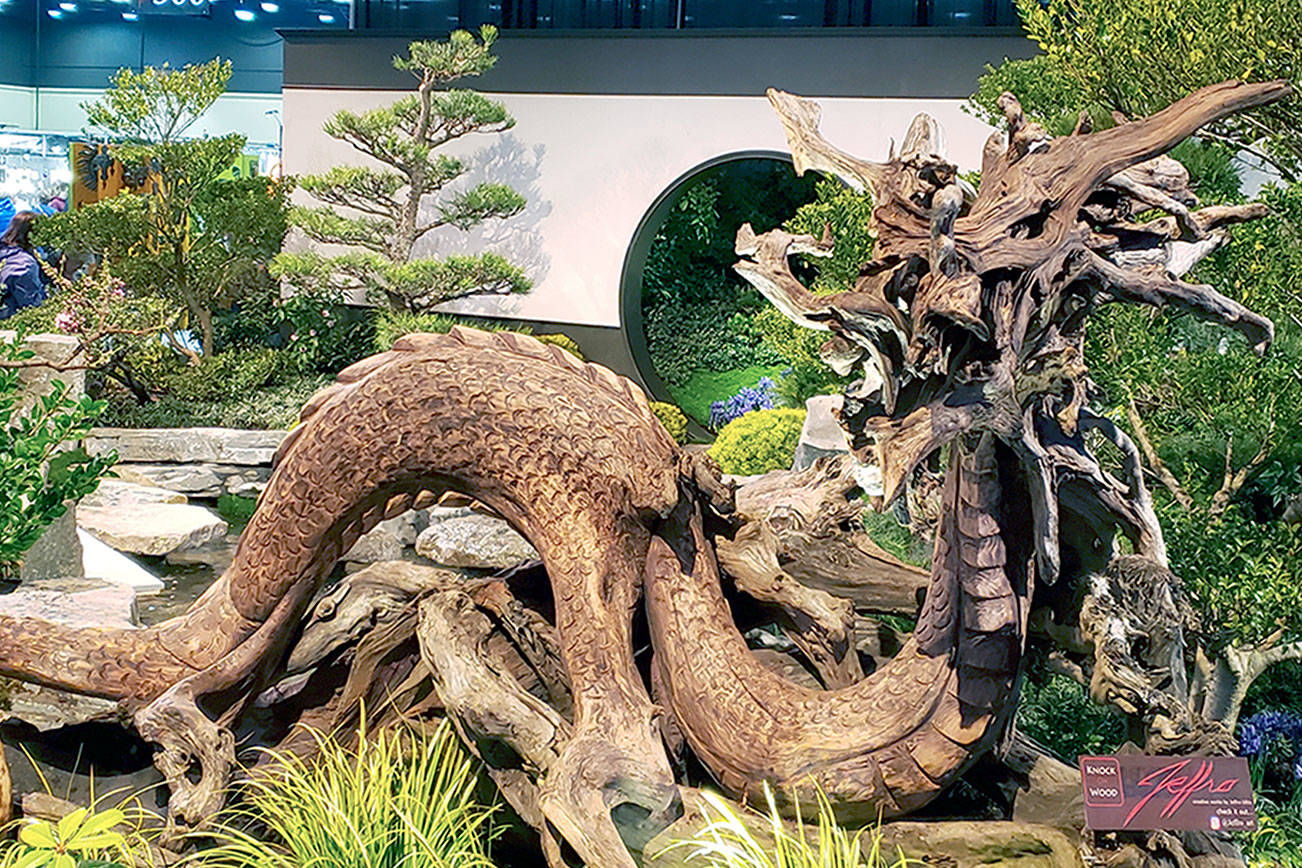 A driftwood dragon made for a breathtaking display at last year’s Northwest Flower and Garden Show. (Andrew May/For Peninsula Daily News)