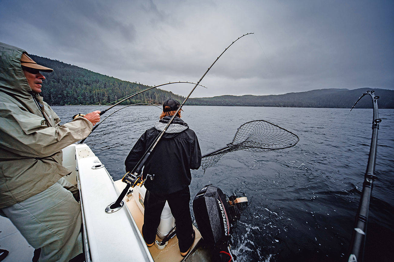 OUTDOORS: Blackmouth fishery off to a good start in Strait