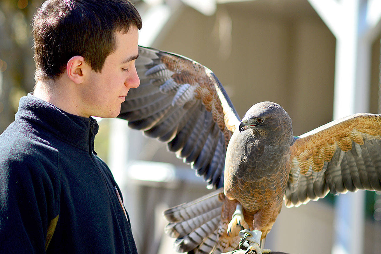 Showering birds with care