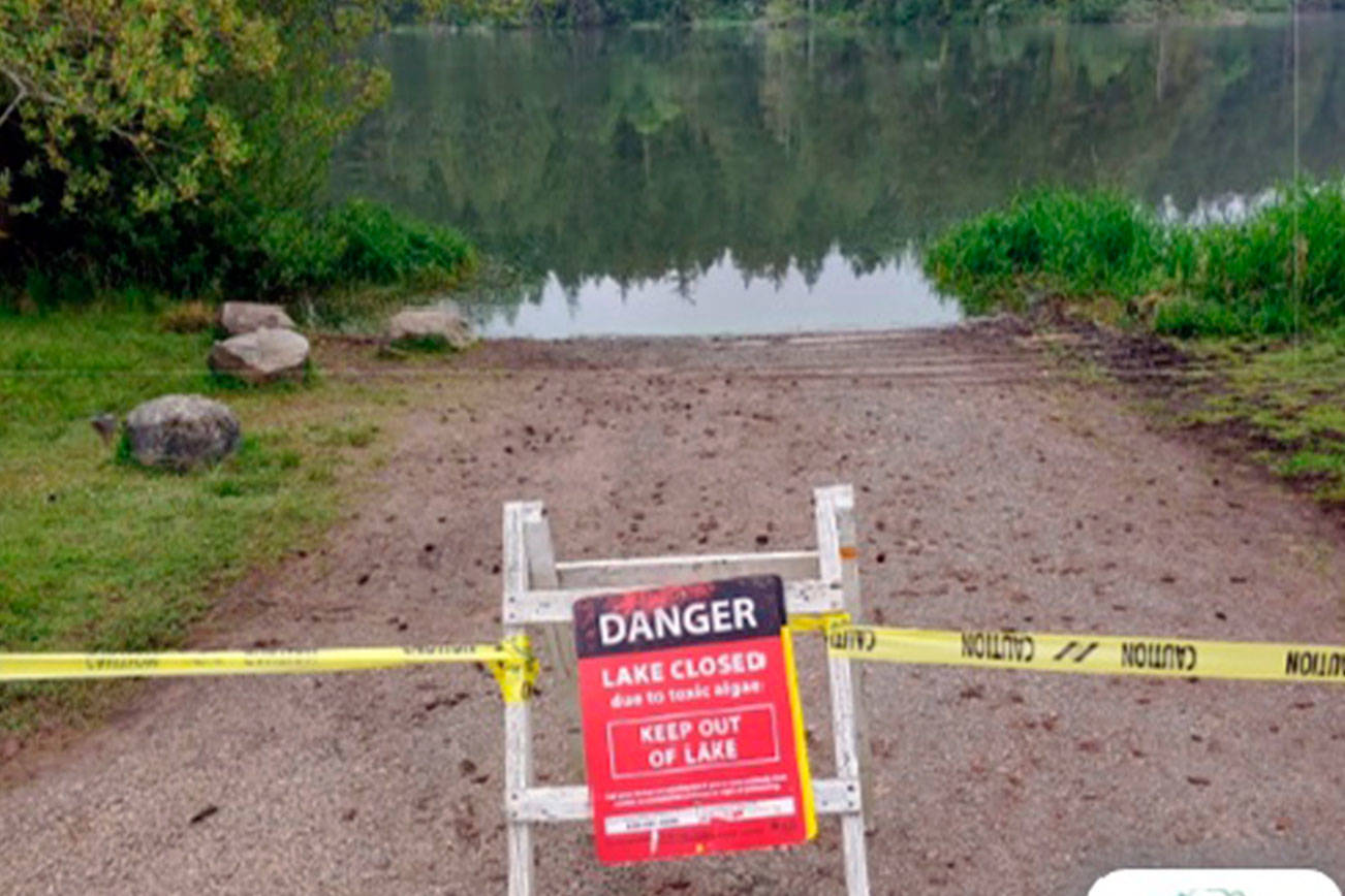 Toxin level high in Anderson Lake