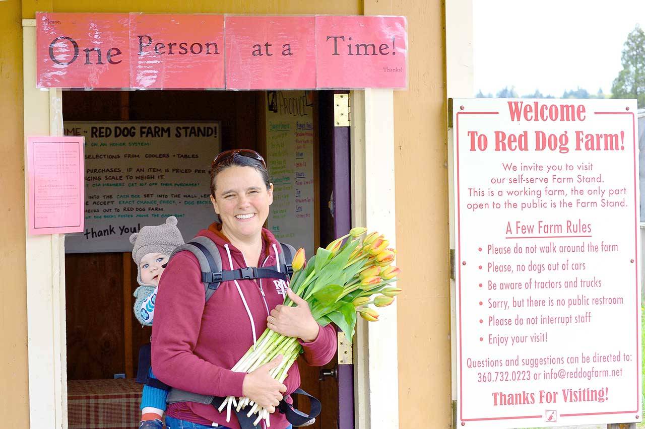 Red Dog Farm’s Karyn Williams, with 11-month-old Delphine, has seen a busy spring at her stand in Chimacum. (Diane Urbani de la Paz/for Peninsula Daily News)