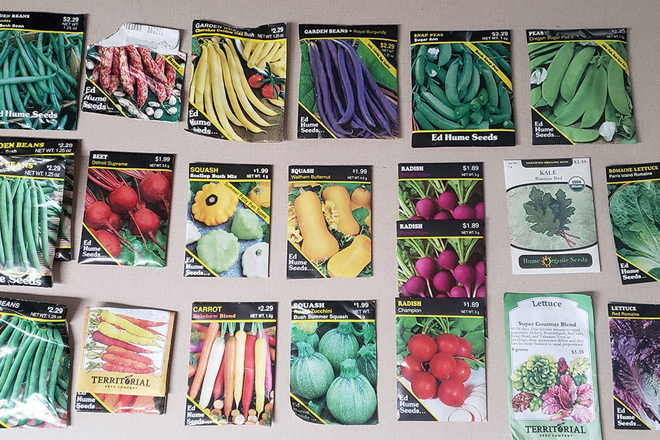 A GROWING CONCERN: Get the drop on watering