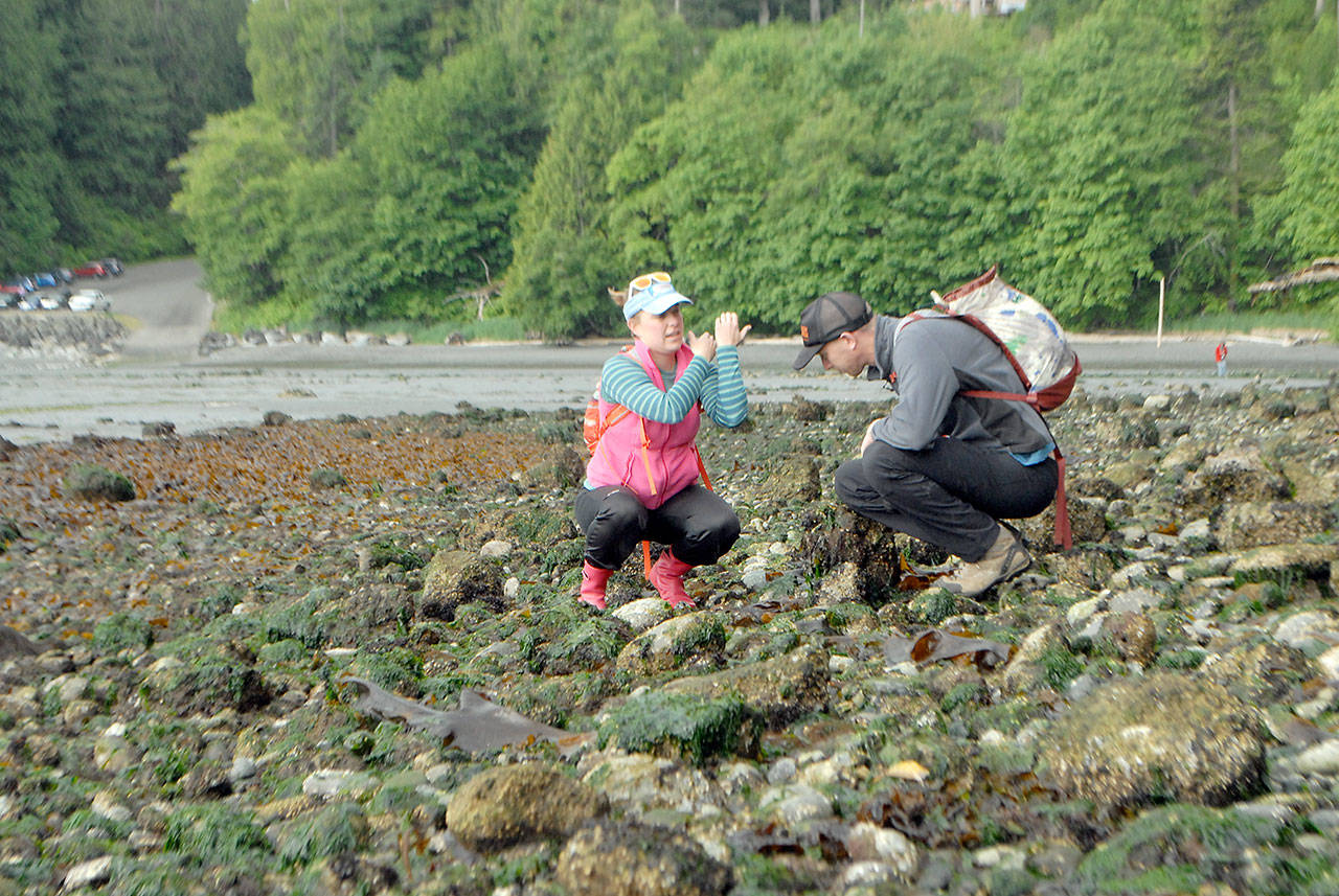 (Keith Thorpe/Peninsula Daily News)