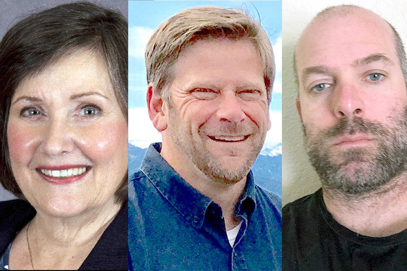 Incumbent draws two challengers for legislative race