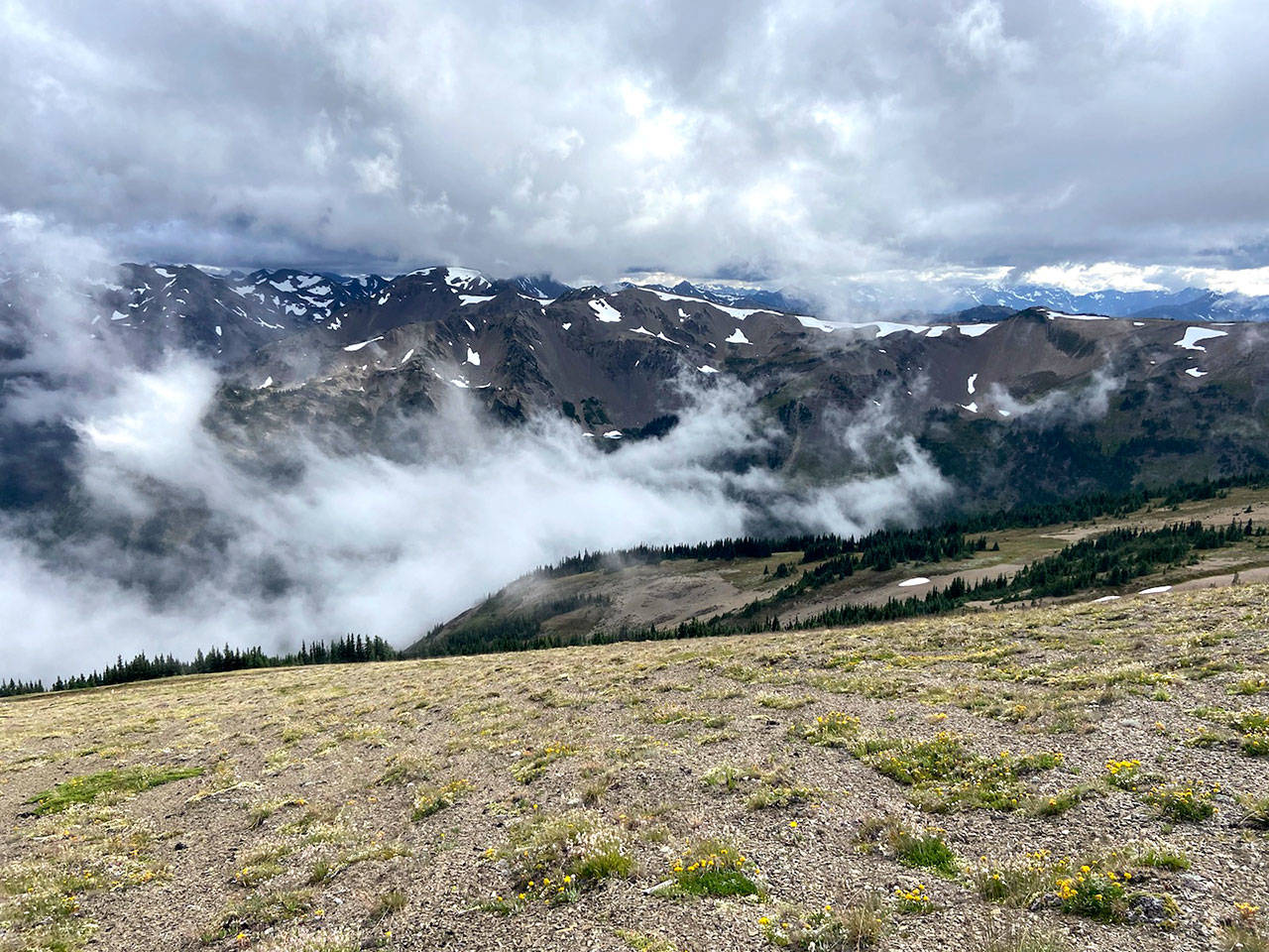 The Olympic Mountains appear from 6,773-foot Elk Mountain along the Grand Ridge trail. (Rob Ollikainen/Peninsula Daily News)