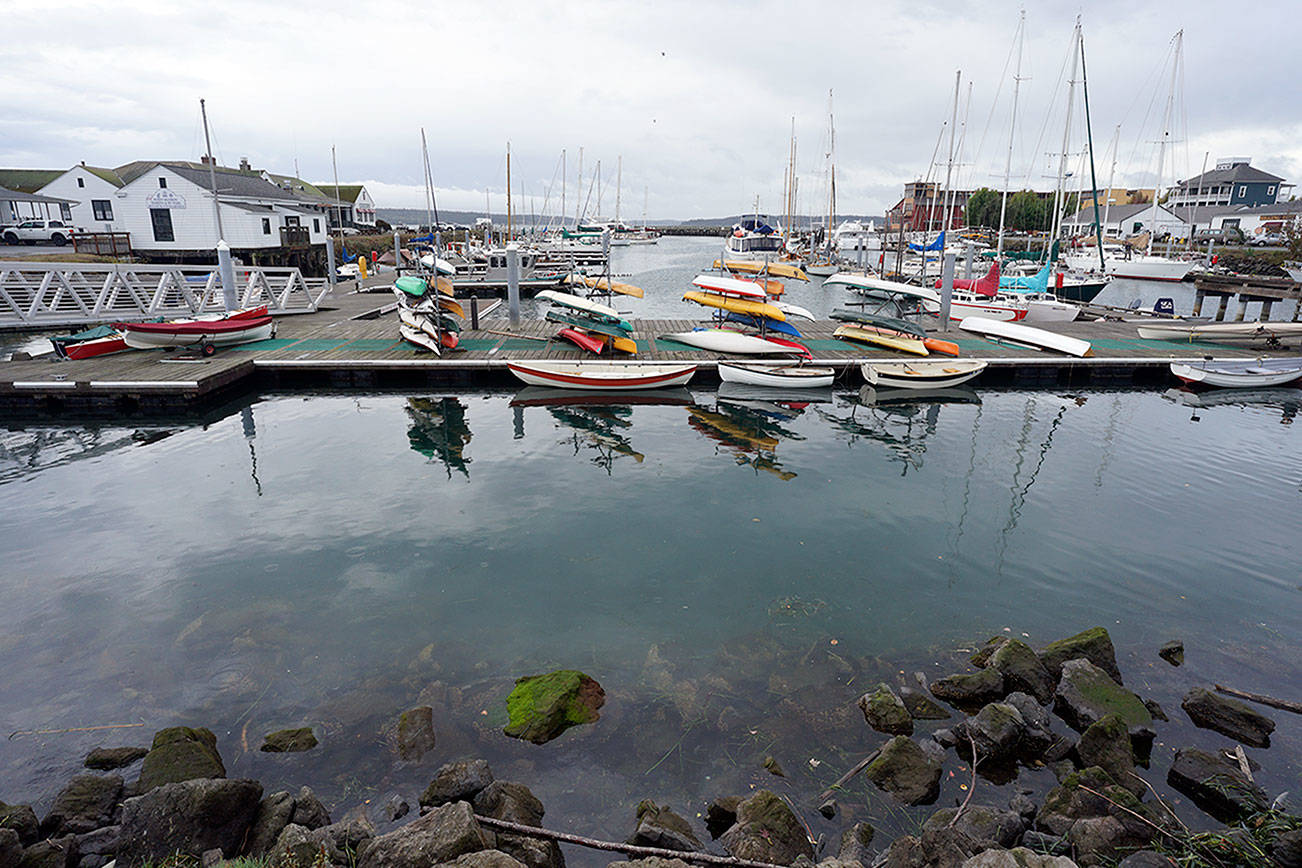 Port of Port Townsend gets taste of oyster idea