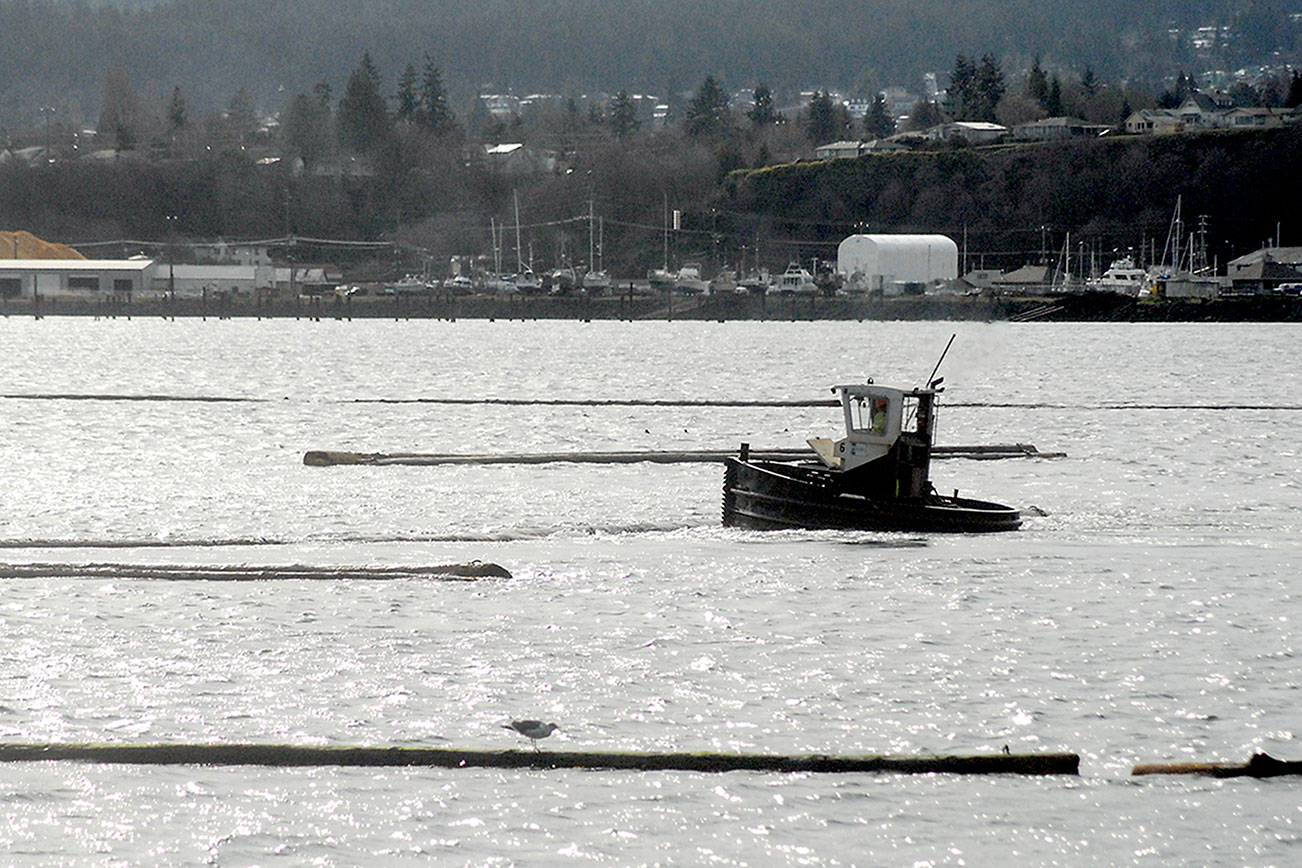 Keith Thorpe/Peninsula Daily News
A log boom tug works the waters at the west end of Port Angeles Harbor on Tuesday. The tugs are used for coralling logs for later pickup and tending the containing booms.