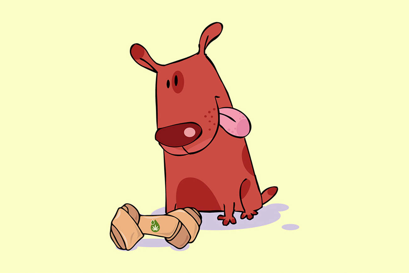 Top 3 CBD Dog Treat main image