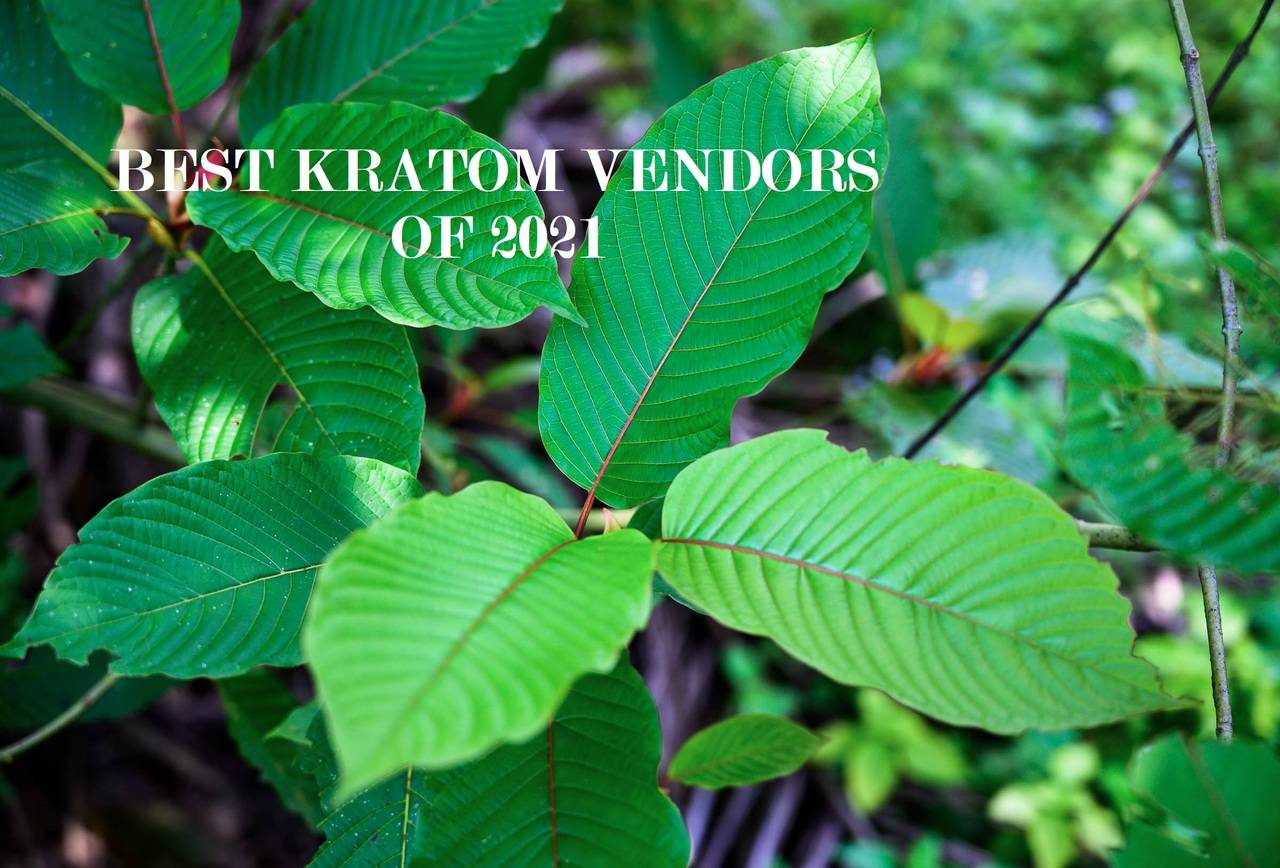6 Best Kratom main image