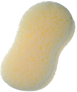 25625-im_1p Lufa Sponge