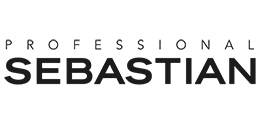 Sebastian Professional Logo